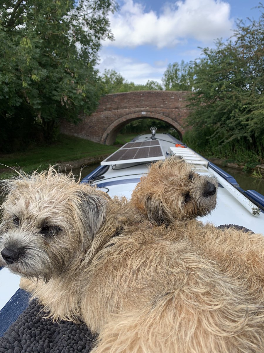 GeorgeJanice1's tweet photo. Dis is ows bwige #bridge43 we back! See yoos at home #BTPosse Pals 🏡! 🐶🐶🐾🐾 #backinthehood https://t.co/yuTsOY0TtF
