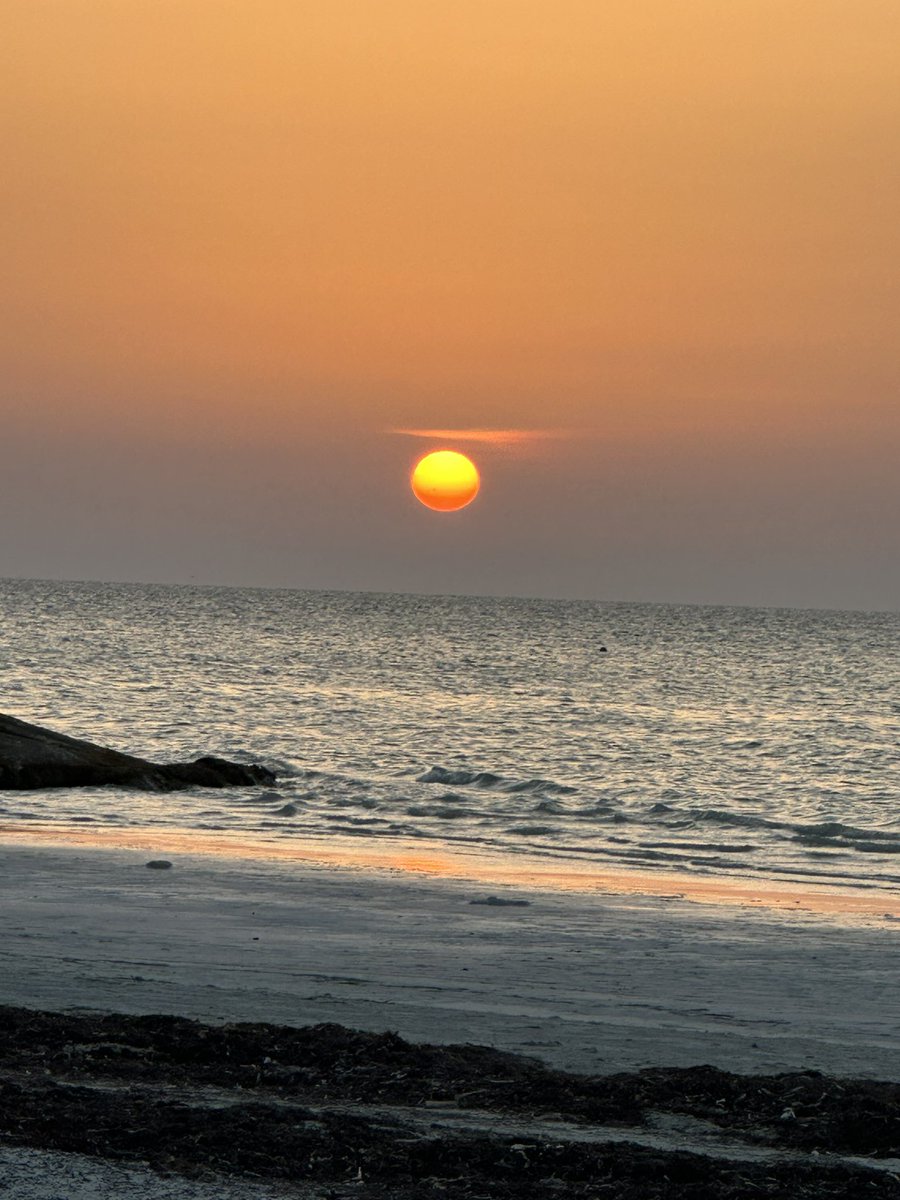 Magda Titirici tweet media