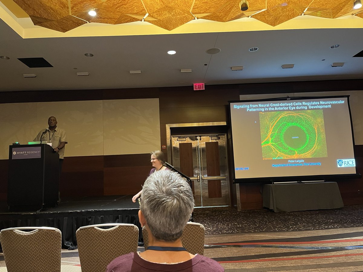<a href="/PLwigale/">Peter Lwigale</a> delivers talk at #2023SDB about corneal innervation 👁️

Go Peter!