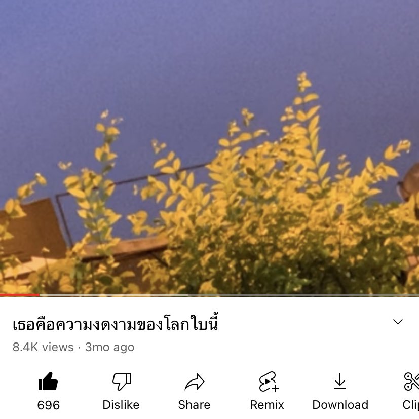 nov diary tweet media