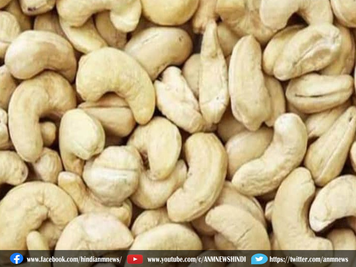 AnmNews's tweet image. Beauty Tips: काजू से बढाये चेहरे पर निखर

anmnewshindi.in/good-health/ca…

#dryfood #skin #dryness #cashew #anmnews #LatestNews