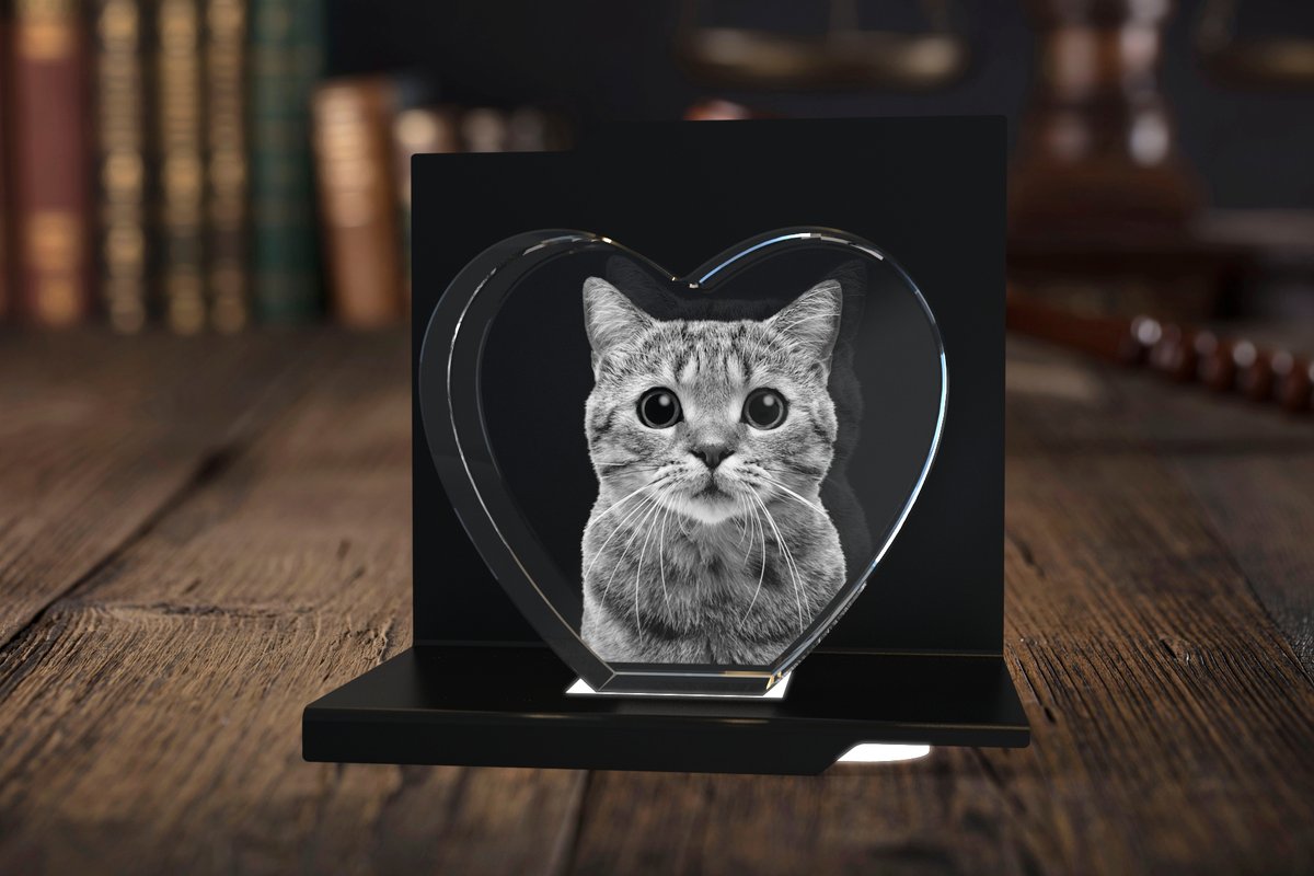 Om katter kunde prata, skulle de inte göra det … 🐈‍⬛ 3D-fotokristaller – upp till 40 % RABATT!