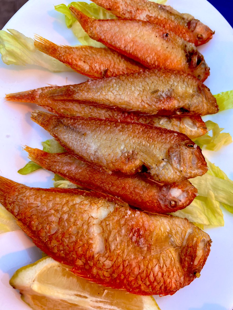 Dicen que es el pescado más caro de #España, pero vale todo lo que cuesta #galanes #raor #almeria #aguamarga #albertogleton