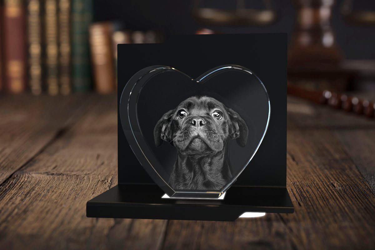 Fånga det oförglömliga bandet mellan dig och din lurviga kompis med vår fantastiska 3D-diamantkristall. Föreviga era bästa stunder! 🐾❤️