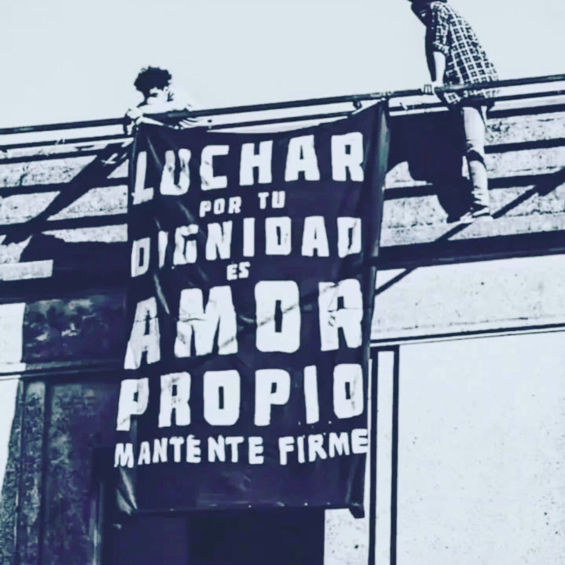 V_Albo_'s tweet photo. Mantengámonos, mujeres. https://t.co/VOTIZCUtPW