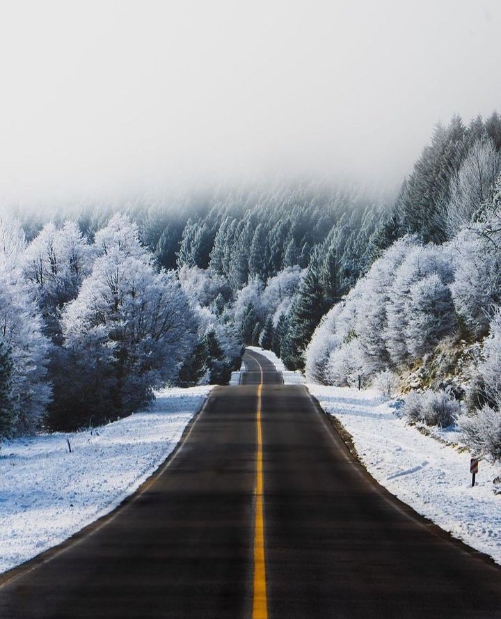 Imagen_Arg's tweet photo. Ruta de los 7 lagos, San Martin de los Andes, Neuquén 
📷 Gustavo Arias https://t.co/N8ElDQGkLW