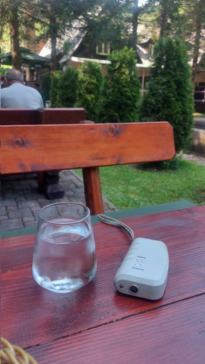 Silent_Calliope's tweet photo. Mačkoljupci zažmirite🙉 Ima li vas još koji se panično bojite mačaka, pa vam donesu sva raspoloživa sredstva, samo da ne bihuzurite restoran?😆 https://t.co/gp5amqjuFT