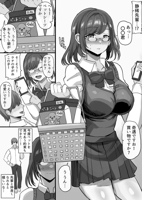 こっそりペット用シーツを大量買いする先輩のお話 