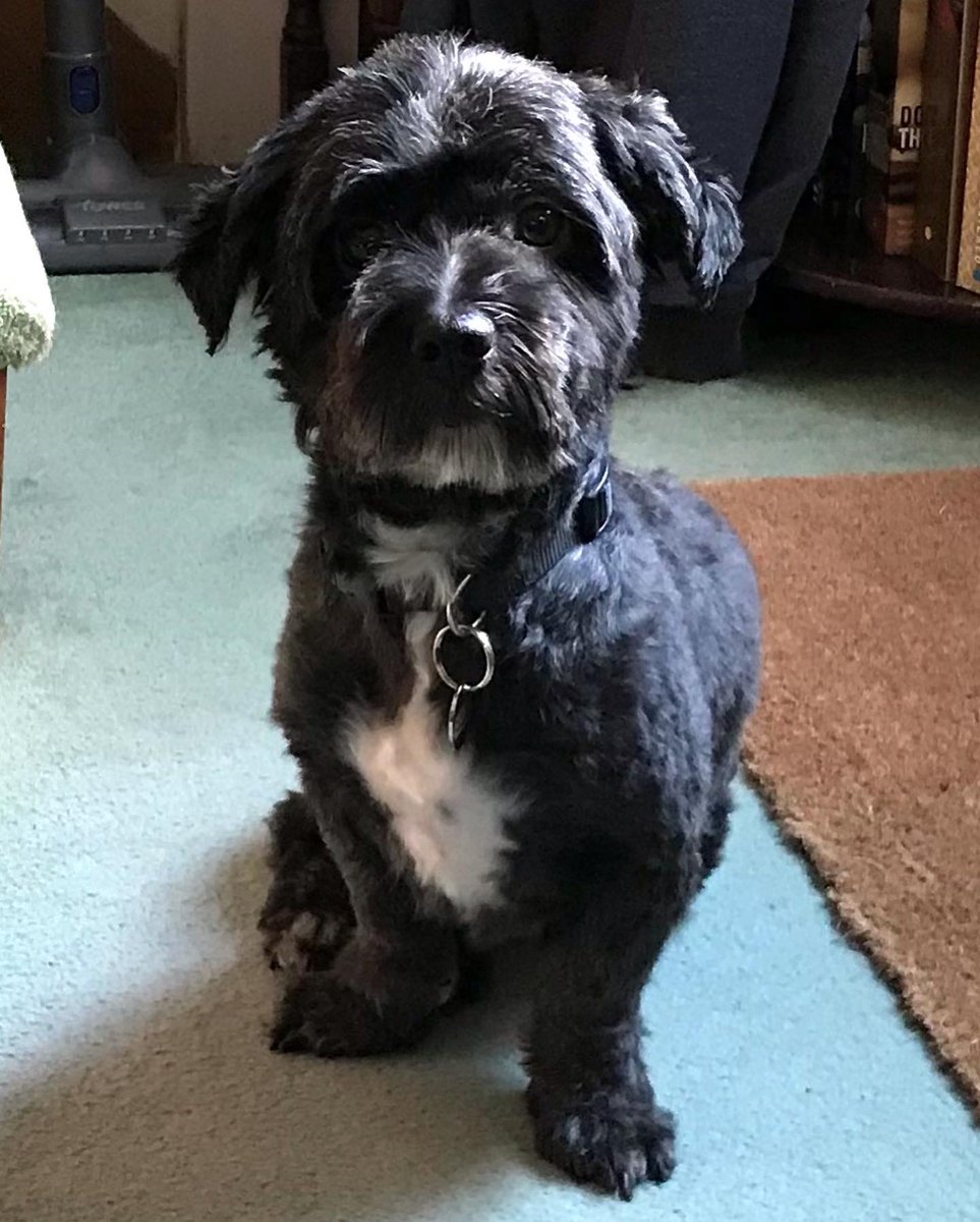 The Reading Glass - Rebecca - Somewhat Slightly tweet media