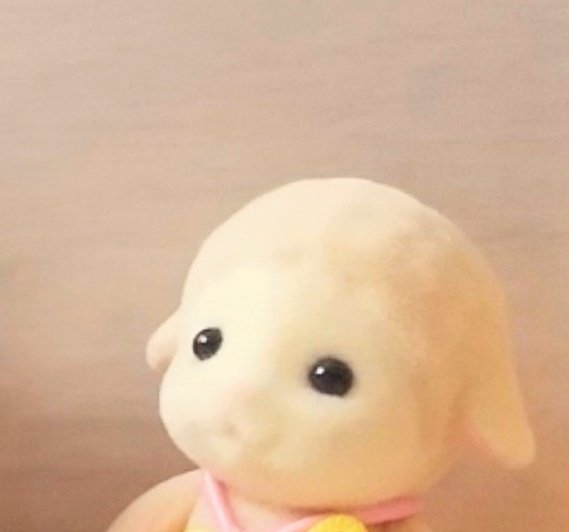 いちご様連絡ページ いちご(主🍓とエマシマの日常) (@jfW1E1DDDHOY29c) / Posts / X