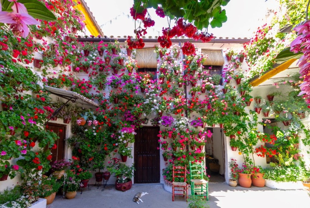 <a href="/Esquerra_ERC/">Esquerra Republicana</a> No teniu vergonya. La meua terra és la terra de la llum, el color i les flors. La terra dels emigrants que se n'anaren a Catalunya a aixecar les vostres fàbriques plenes de fum i de penúria. La terra dels pares de molts catalans.

Saludos desde la Andalucía del blanco y el negro.