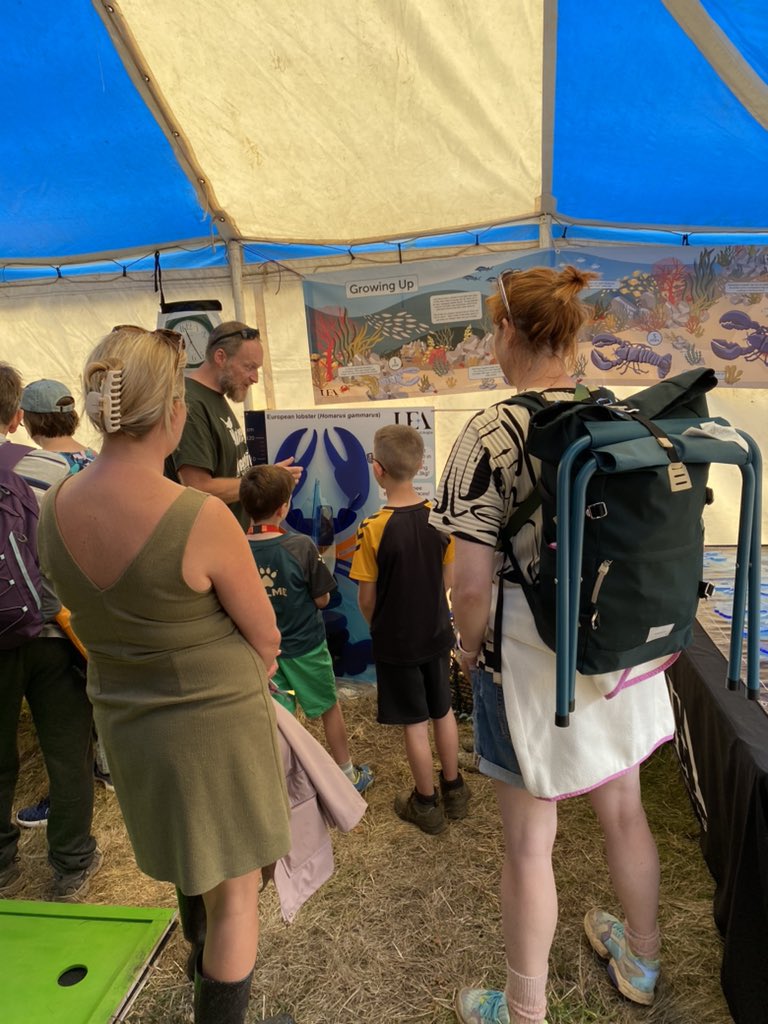 Martin Taylor tweet media