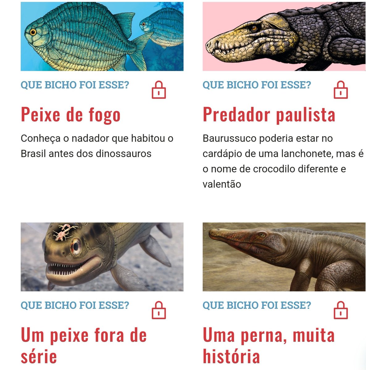 Vamos alimentar o interesse da criançada pela #paleontologia e incentivar a formação de futuros cientistas? 
Que tal assinar a Ciência Hoje das Crianças (online e/ou impressa)? Lá temos uma seção todinha sobre animais extintos, especialmente brasileiros!

chc.org.br