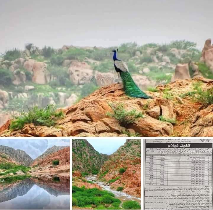 کیرتھر سے کارونجھر تک سندھ کی زمینیں سندھ کے پہاڑ سندھ دریا سندھ کی ندیاں سندھ کے جزائر سندھ کا ساحلی پٹی نیلامی پہ رکھے گئے ہیں بولیاں لگ رہی ہیں، سندھ کا شعور سندھ اہل دانش کیوں چپ ہیں، سندھ کے اہل سیاست کے اسٹینڈ لینا ہے مگر کہاں ہیں؟
#SaveKirtharNationalPark
#SaveKaroonjhar