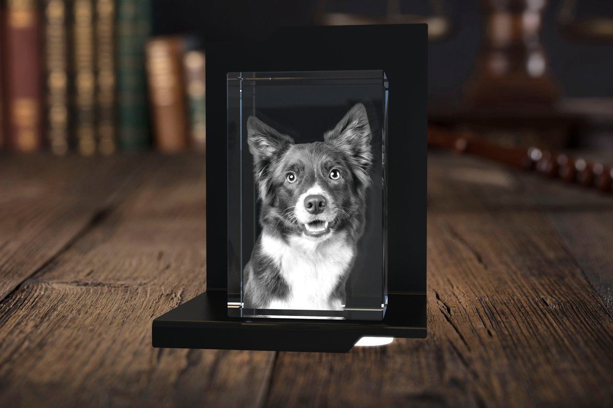 Fånga din lurviga kompis unika personlighet med våra 3D-fotokristaller. 🐼