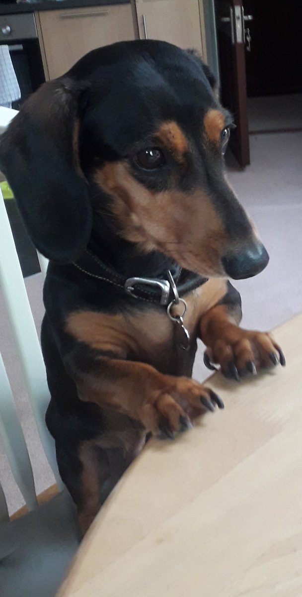 Waiting for my dinner