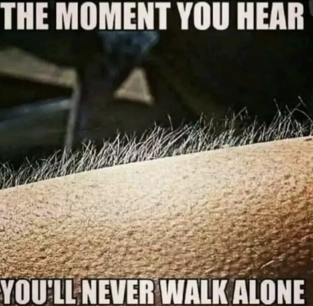 David McGrady (@lfcgradyspage) on Twitter photo 