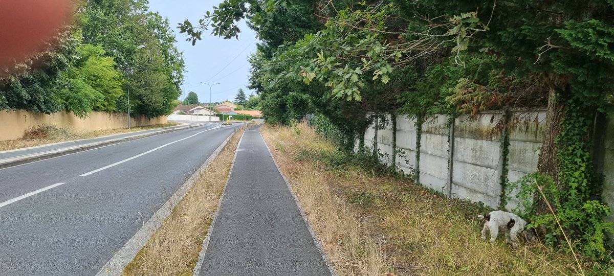 LIONEL33000's tweet photo. Sans oublier les rues non entretenues.
Chemin de couhins. https://t.co/kM8A3Jsxwb