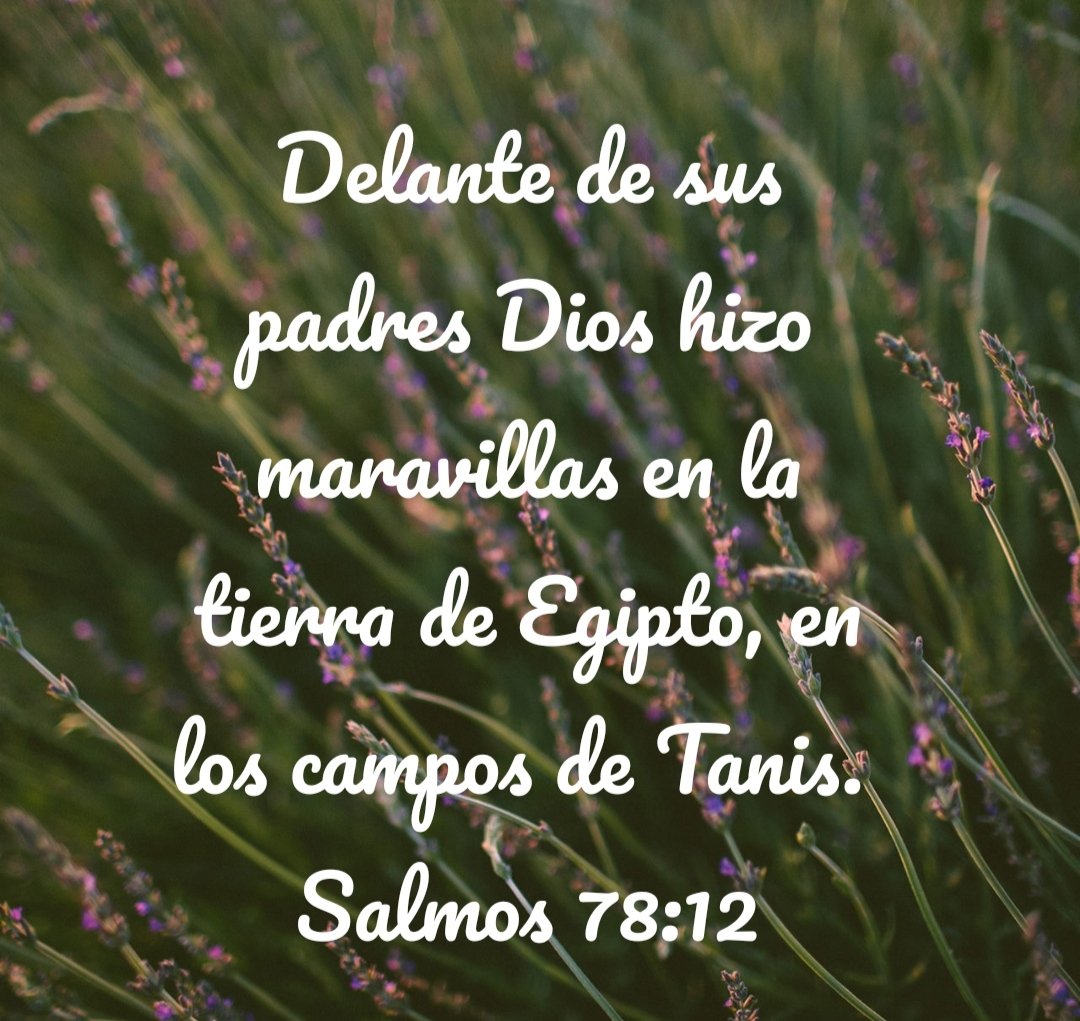 elva7310's tweet photo. El hablar a nuestros hijos de todas las veces que Dios nos ha conducido les ayuda a conocer a Dios,pero ellos tendrán su oportunidad de vivirlo , que no olvidemos cumplir las promesas que hacemos,no olvidemos como nos a ayudado en el pasado.
#Salmo78 #rpsp #MiBibliaDice https://t.co/w9N5B3Hvkp