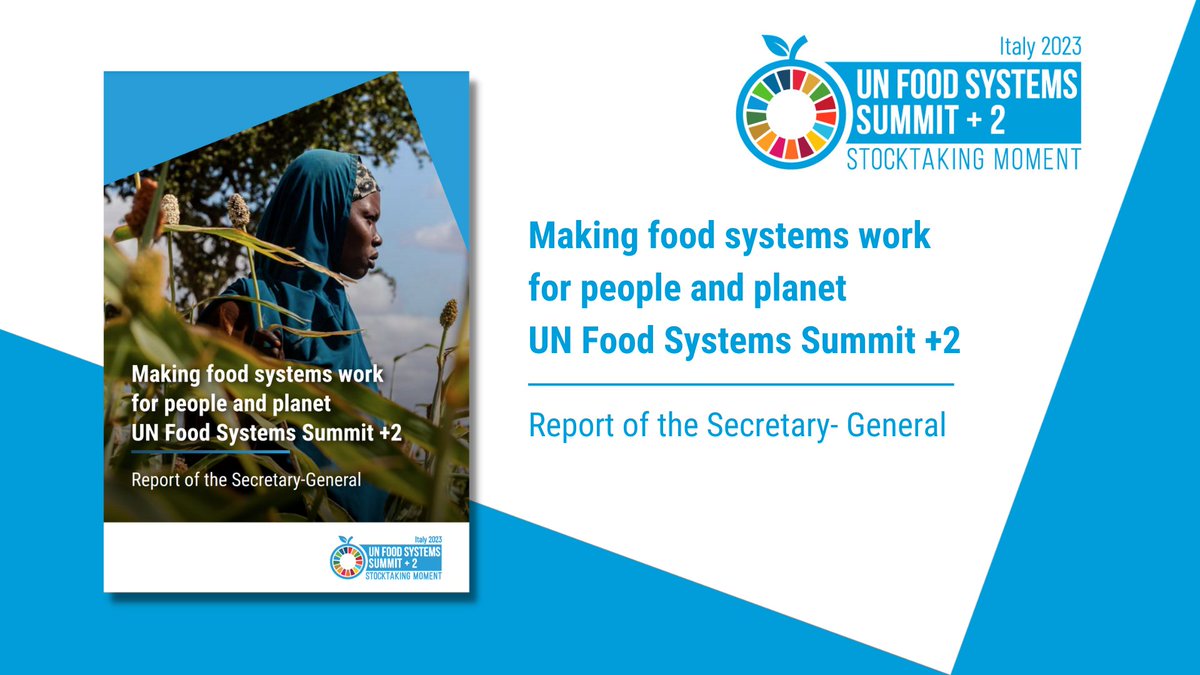 The official UN #FoodSystems Summit +2 Report of the @UN Secretary-General is now online! 📑

Gain valuable insights into the progress made since the #UNFSS2021. 🌍🍽️

📖 Read the full report here: cutt.ly/Iwp7EVmS
#UNFSS2023 #GlobalGoals