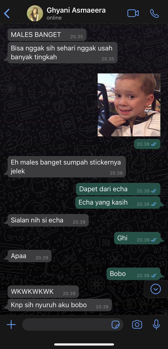 ela tweet media