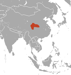 lijuana56's tweet photo. #sendmonkey à la demande générale ce sera le rhinopithèque de Roxelanne. Originaire de Chine dans le long plateau tibétain. Ils vivent dans les montagnes tempérées entre 1400 et 2800 m d'altitude      1/ https://t.co/RjSHVkmZ4s