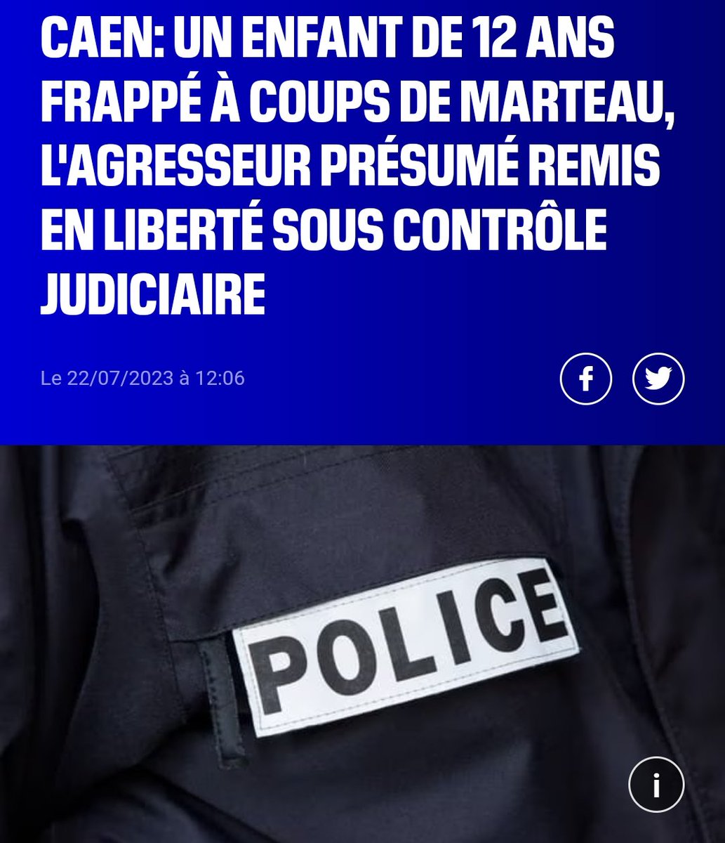 La justice française considère qu'un homme qui fracasse le crâne d'un enfant à coup de marteau peut sans problème être remis en liberté peu après. Par contre un flic qui neutralise un récidiviste du refus d'obtempérer doit être incarcéré, avec interdiction de voir sa famille. 😡