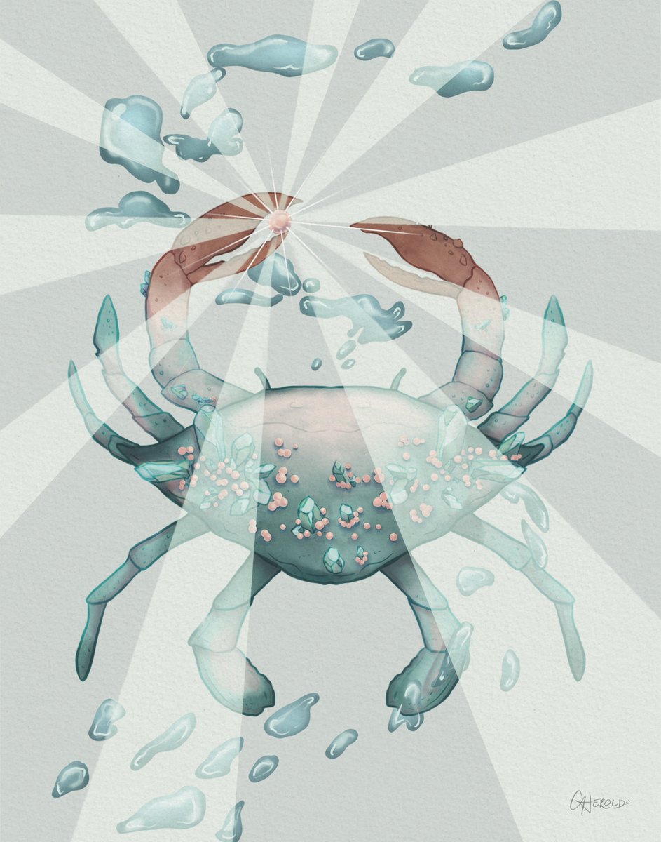 Cancer the Crab #ZodiacSigns