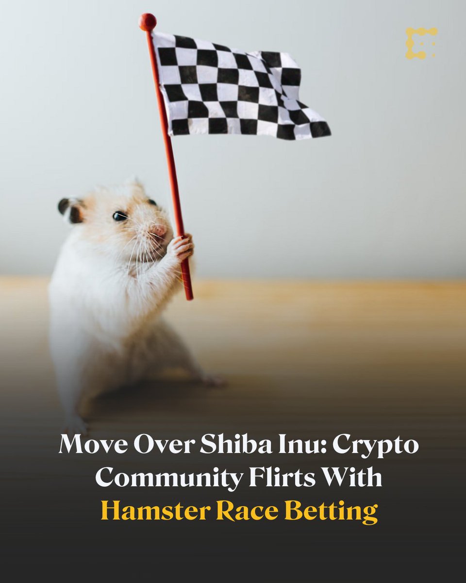 Crypto traders are exploring new opportunities with blockchain-based hamster  races. The @hamsters_gg platform lets traders bet in $BUSD on races and  earn $HAMS tokens in rewards. https://t.co/qnKtvp8HOW