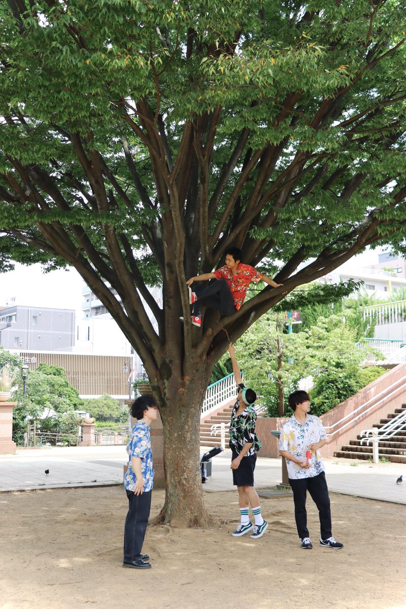 _sukoshou's tweet photo. 個人的お気に入りも数枚 ❗️ https://t.co/PEUCkD2IpK