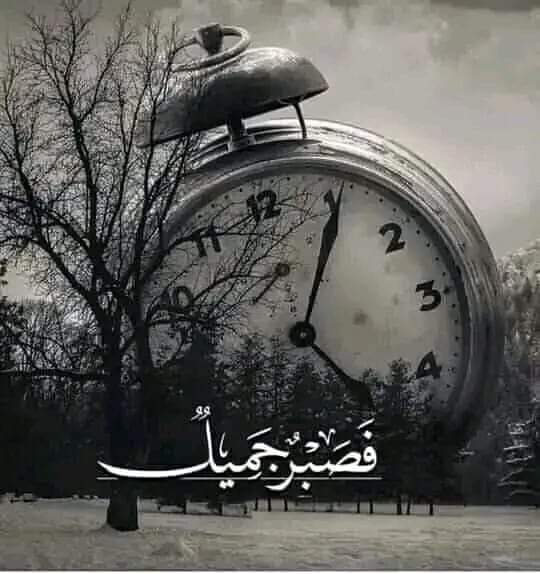 أنا لي الله.. وانت لك عذاب الضمير ❗