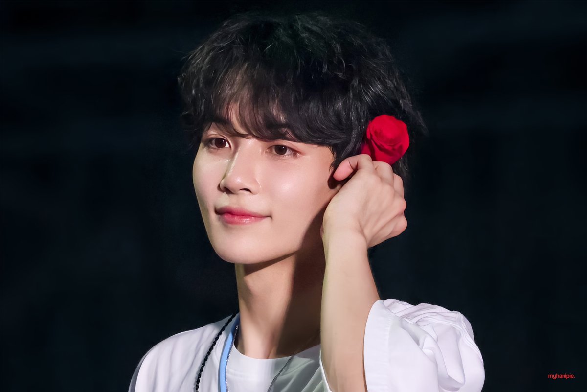 myhanipie's tweet photo. 230722 SEOUL FOLLOW TOUR

𝒓𝒐𝒔𝒆.

#윤정한 #정한 #ジョンハン #JEONGHAN
#세븐틴 #SEVENTEEN https://t.co/0bLf2QN8ib