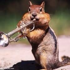 LilArnold's tweet photo. @the_knep I will sell squirrel facts https://t.co/lp1pdyhnAe
