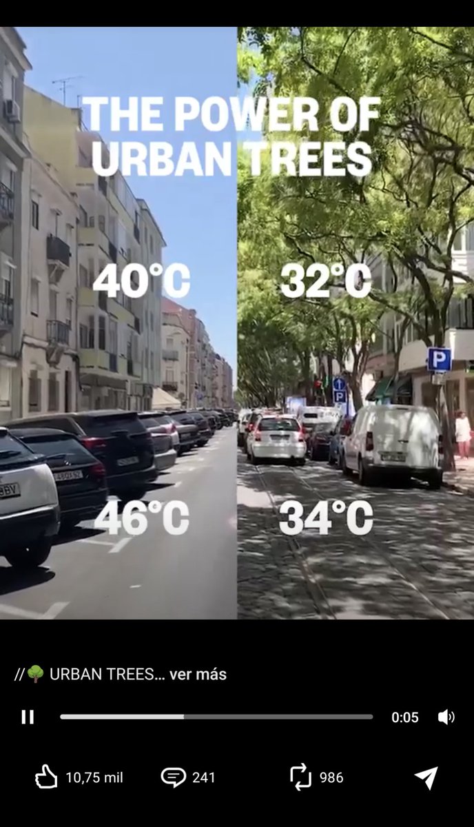 Qué sepáis que en Linkedin hay gente que ha descubierto la sombra. Lo que no te venda un consultor...