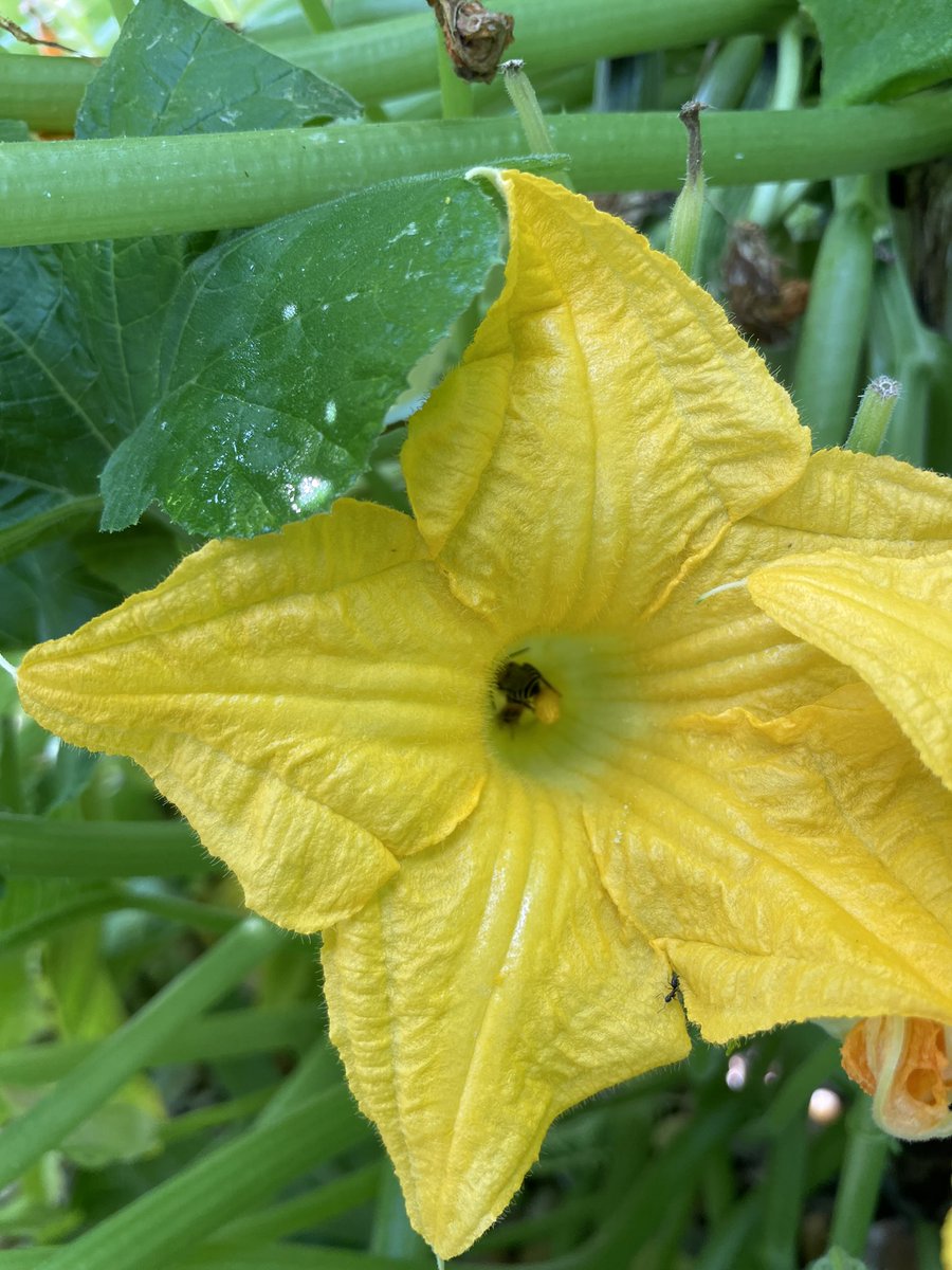 Teresa Hughes tweet media