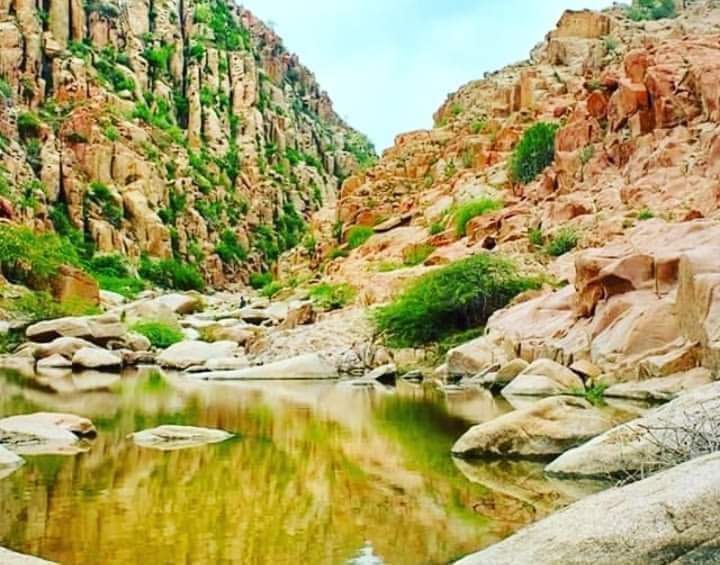 ڪارونجھر جبل جي ڪٽائي ڪنھن بي صورت برداشت نھ ڪنداسين سنڌ جي انچ انچ جا وارث آھيون پيپلز پارٽي کي شرم اچڻ کپي, سنڌ جو سودو غيرت مند سنڌي ڪنھن بي صورت قبول ڪون ڪندا.
جيئي سنڌ فريڊم موومينٽ جسفم مرڪز
Jeay Sindh Freedom Movement #JSFM <a href="/JSFMOfficialOrg/">Jeay Sindh Freedom Movement</a>
#SaveKaroonjhar