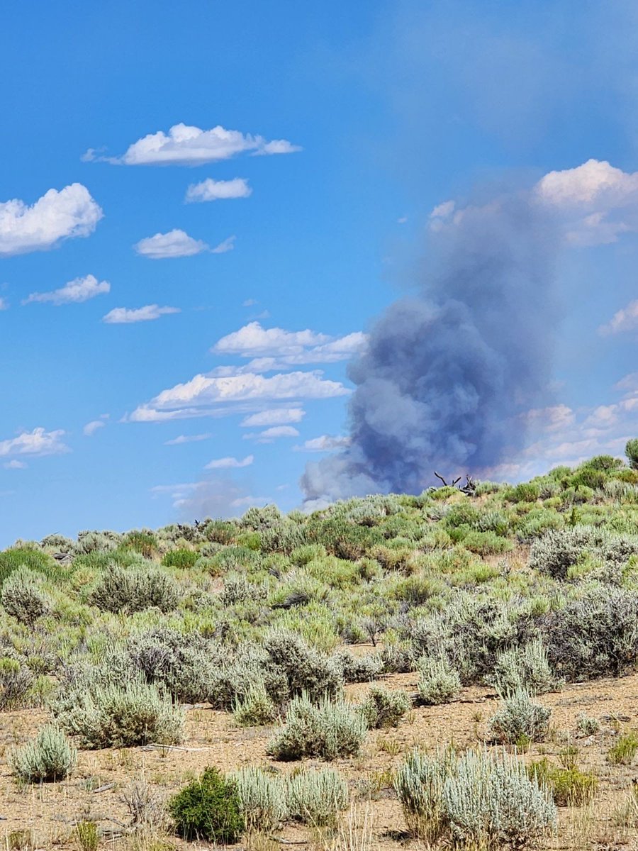 UtahWildfire's tweet image. #MonumentFire 55 miles SE of Vernal est. at 85-100 acres. No containment reported. Cause: Lightning. Fire expected to be active today due to hot, dry weather w/ 10-15 mph winds, poss. lightning. 2 hotshot crews have joined crews already fighting the fire. #blmgl #FireSeason2023