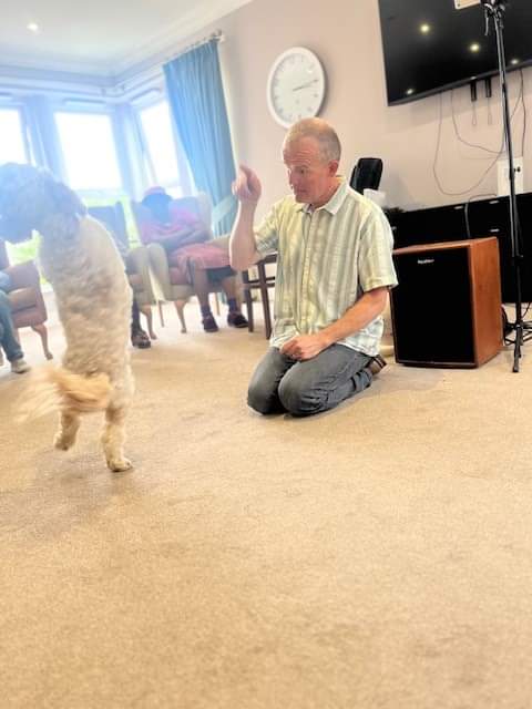 My little sidekick Honey doing her stuff #dogtricks #tricksfortreats #dogtherapy #pettherapy #carehomeentertainment