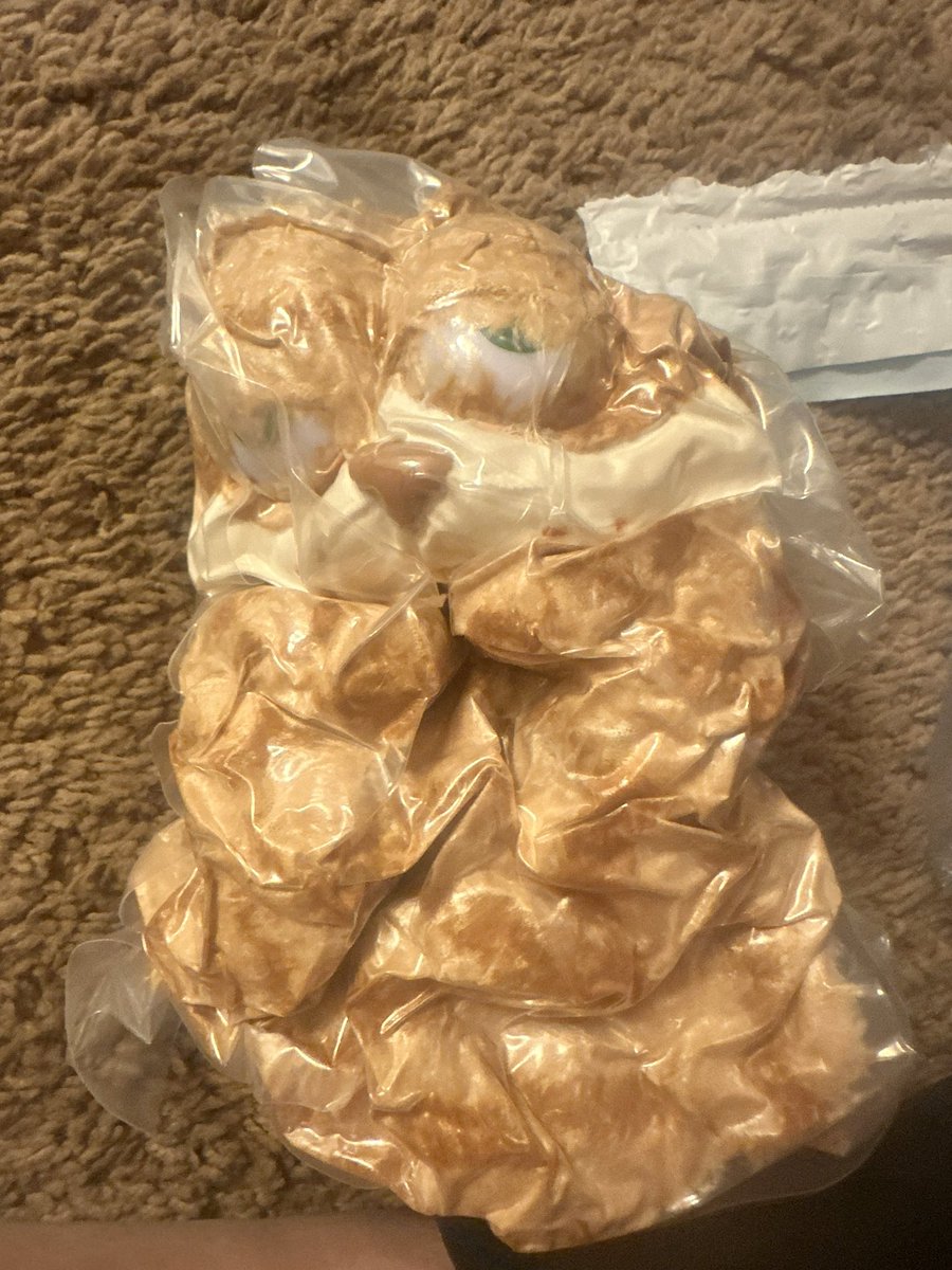 Katelyn Bowden Ⓥ tweet media