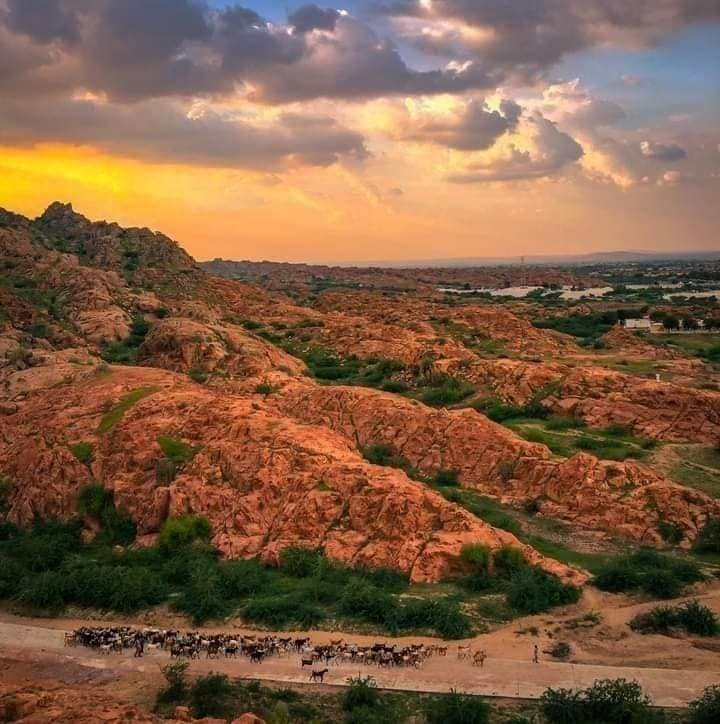 We urge International Environmental agencies and bodies to intervene to protect Karoonjhar Hills and stop Sindh Government from auctioning the most diverse hills of Sindh just for the sake of money. @UN @UNESCO @UNEP @UNEP_AsiaPac @IUCN_PA @WWF @WWFPak @IUCN #SaveKaroonjhar