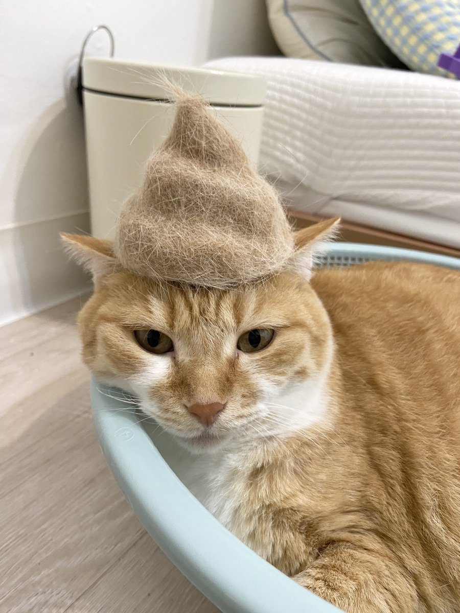 신상 소라빵 모자