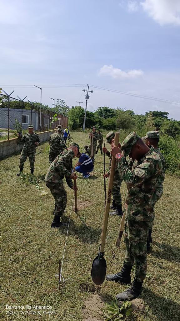 Ejercito_Div1's tweet photo. El #BASPC2 y los Profesionales Oficiales de la Reserva de la #SegundaBrigada realizaron la siembra de 400 árboles maderables y frutales en el corregimiento de Caracoli, #Atlántico, ayudando a la protección del medio ambiente y nuestro ecosistema.
#CustodiosDelMedioAmbiente https://t.co/cVbX8s7yrM