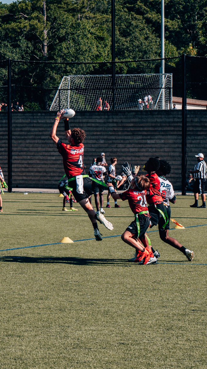 NFLFLAG tweet picture