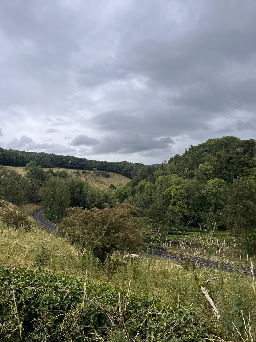 The Westwood Academy tweet media