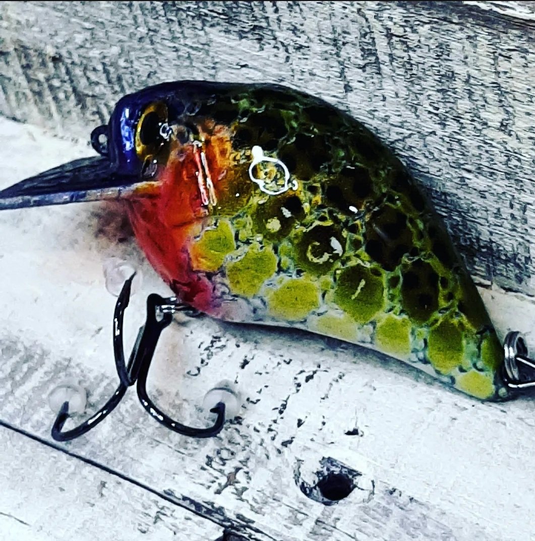 custom_cedar's tweet image. &amp;lt;;

##bassattitudefishing7 #smallmouthlures #custompaintedcrankbait #crankbait #liplesscrankbait #bucketmouth #bassfishinglife #bassfishinglures #smallmouthbass  #lures #crankbait#spinnerbait 
#BassFishing   #BassMaster   #FishTheBest #BassProTour #LargemouthBass
#fishing