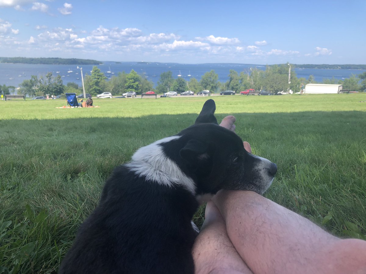 WriterNorm's tweet image. We could get used to this. #PortlandME