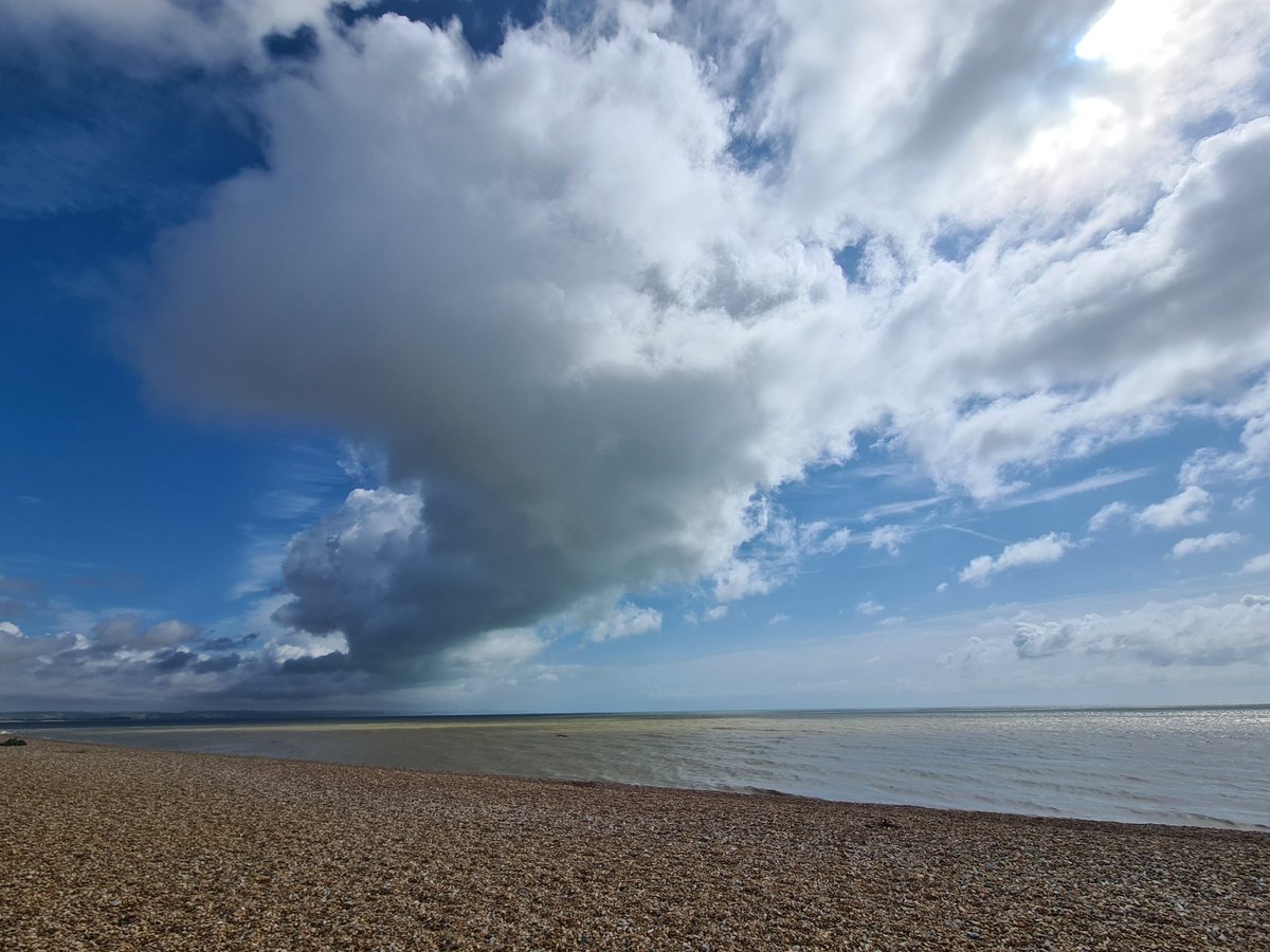 Rebecca Afonwy Jones 🏴 tweet media