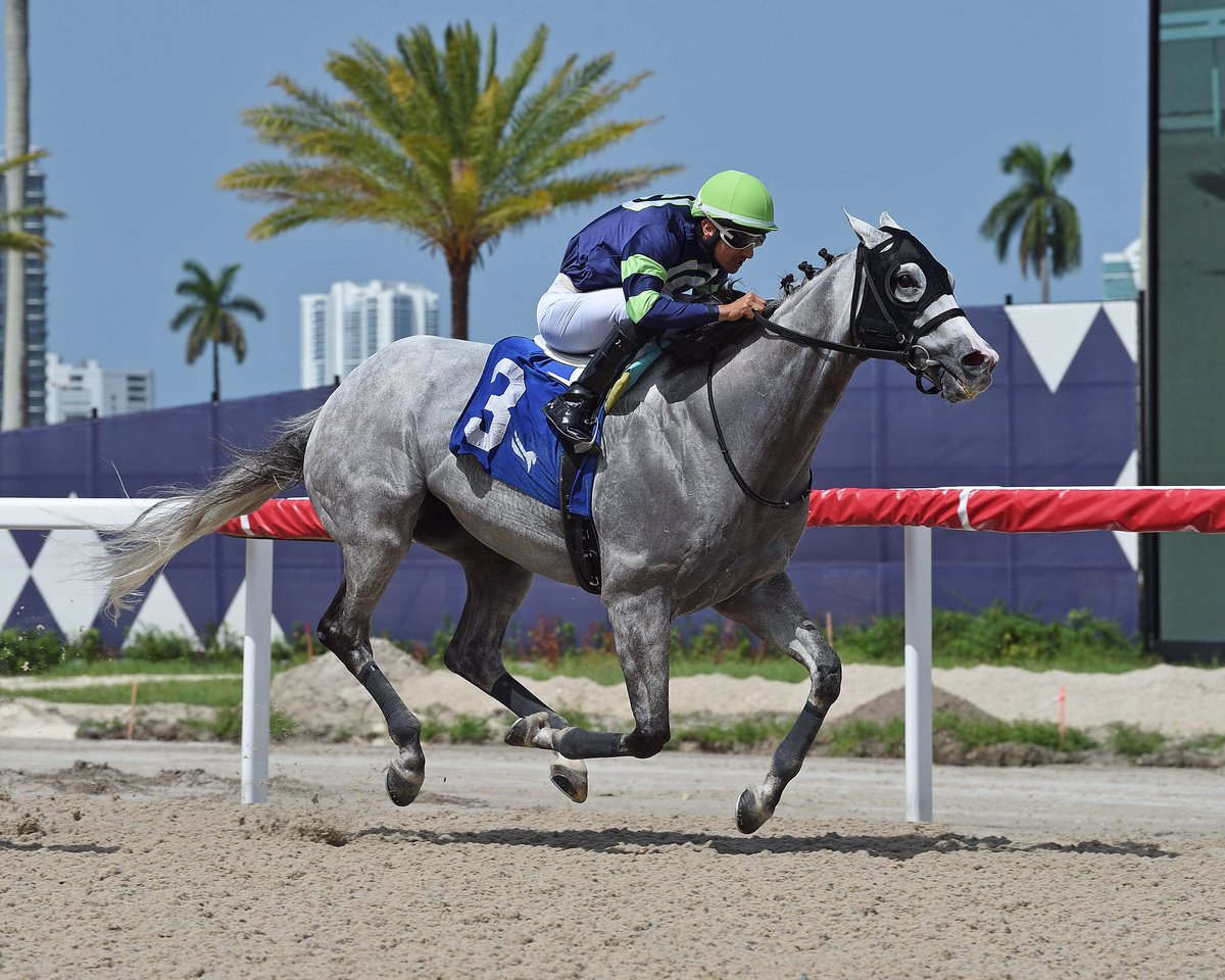 Gulfstream Park (@gulfstreampark) on Twitter photo Uncle B chases down Hope in Him to pick up the victory in race 7, <a href="/LeojockeyReyes/">Leonel Reyes</a> aboard for <a href="/AckerStables/">Scott D. Acker Stables</a> and owner David Caprio. #GulfstreamPark #RoyalPalmMeet Uncle B chases down Hope in Him to pick up the victory in race 7, <a href="/LeojockeyReyes/">Leonel Reyes</a> aboard for <a href="/AckerStables/">Scott D. Acker Stables</a> and owner David Caprio. #GulfstreamPark #RoyalPalmMeet