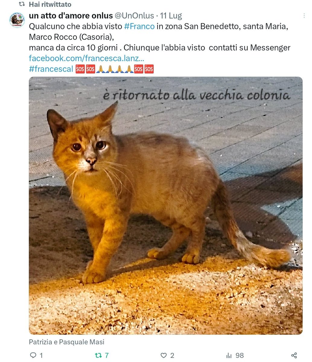 unonlus's tweet photo. #francescal mi riferisce che #franco รจ ritornato alla vecchia colonia https://t.co/9mQuReaLws