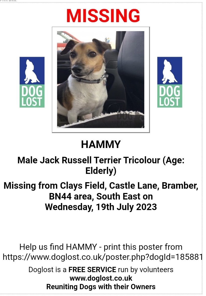 🐕 #URGENT LOST DOG *HAMMY* is 17 YEARS OLD., almost completely deaf, with failing eyesight. Hammy went #missing whilst staying with in-laws & on a walk in Clays Field, Castle Lane, #Bramber #BN44 19 July 2023 Wearing black & white collar & name tag. doglost.co.uk/dog-blog.php?d…